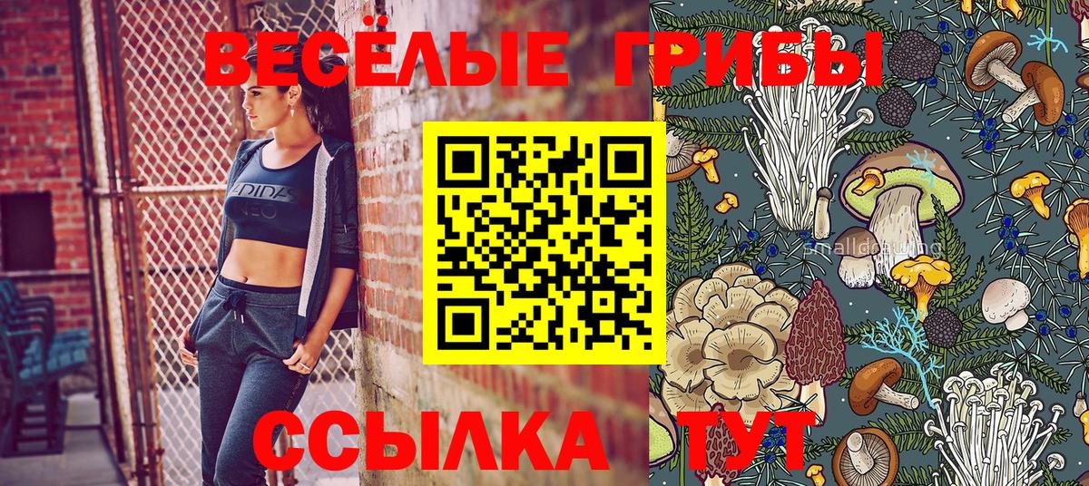 Галлюциногенные грибы Cubensis  Галлюциногенные грибы прущие грибы  Апшеронск  Вход с VPN 